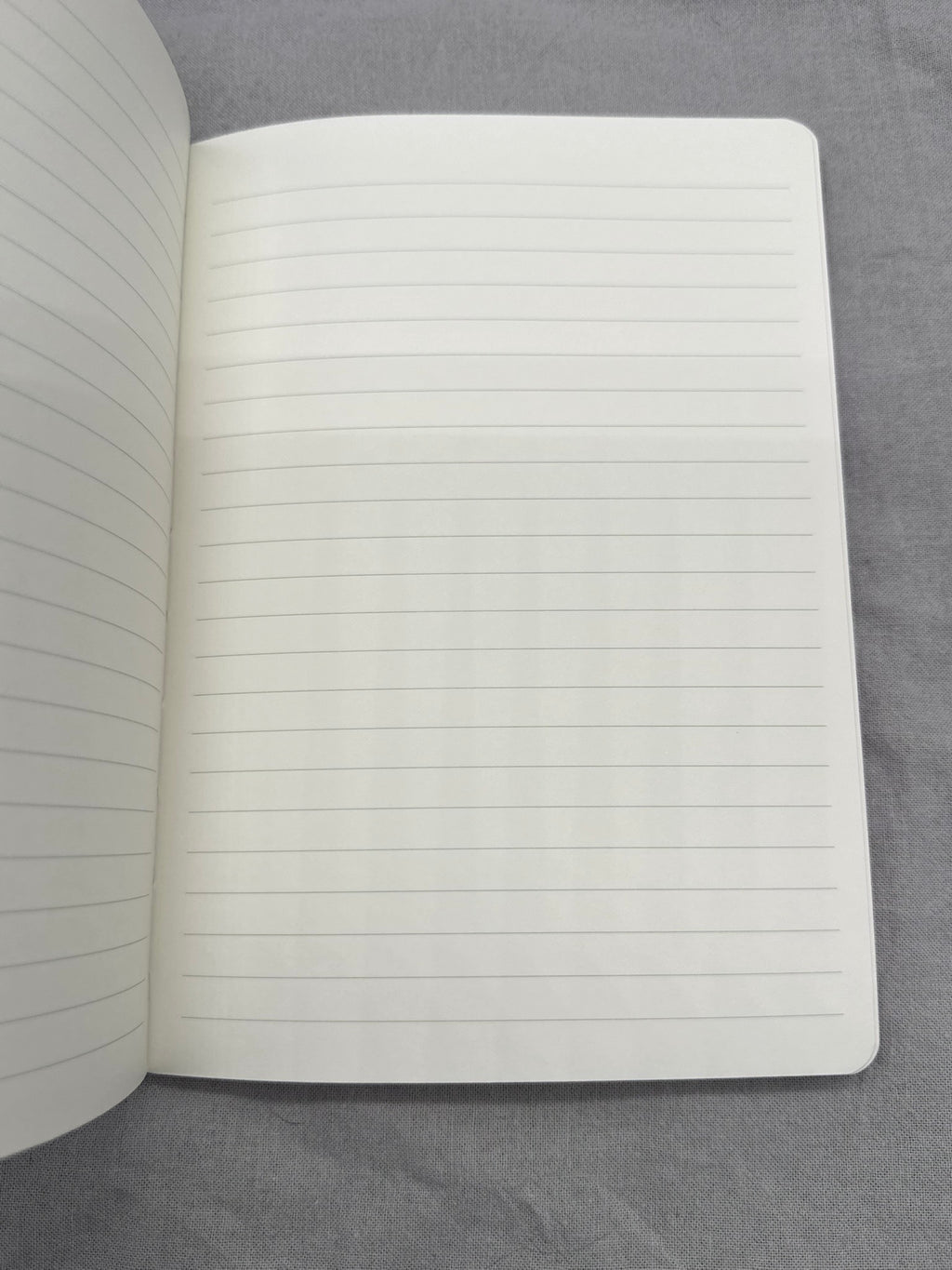 Das Notizbuch ist aufgeschlagen: man sieht eine leere Seite mit sanften Linien. 