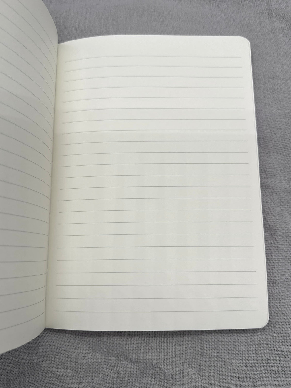 Das Notizbuch ist aufgeschlagen: man sieht eine leere Seite mit sanften Linien. 