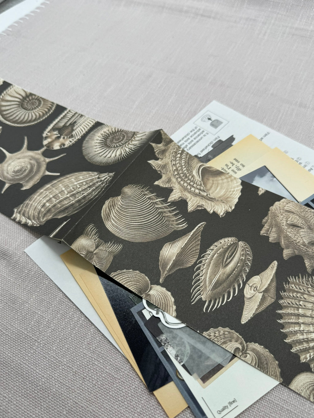 Geschenkpapier mit Muscheln und gemischte Designpapiere mit Mustern, einfarbig und bedruckt. 